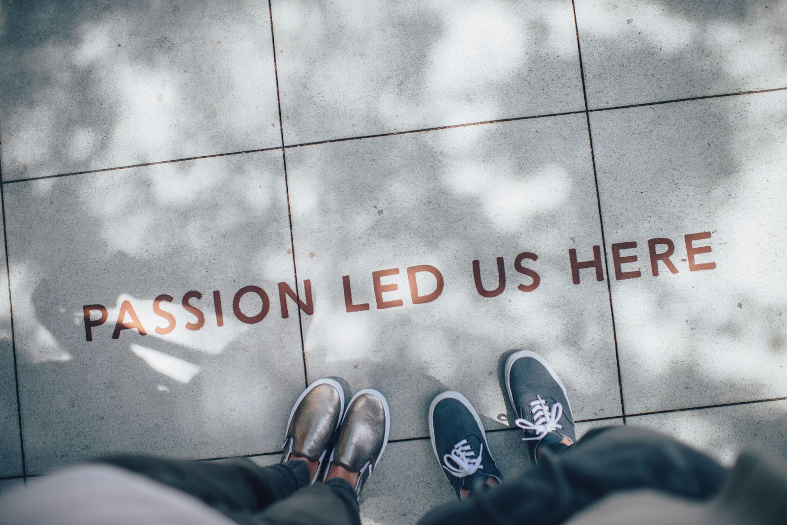 ian-schneider-TamMbr4okv4-unsplash ian-schneider-TamMbr4okv4-unsplash